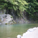 毛虫を焚き火の火に焚べると夫が言った。