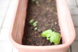 収納が多ければいいのかというとそうでもないのかもしれない