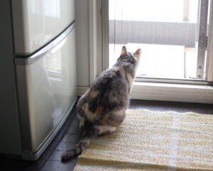 ワクチン接種2回目 これはなかなかの・・・夫との協力は必須