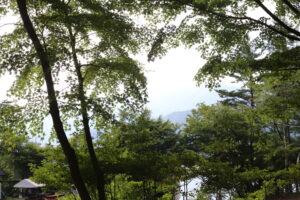 テレビをめぐる家族会議