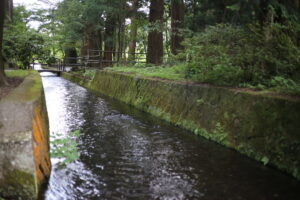 子供と神経衰弱をやって感じた、40代の脳の衰えと役割