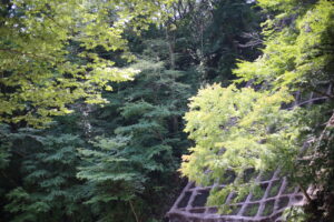 学校/仕事 世界の違いと移行期間