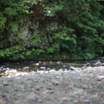 水遊びの楽しみ方 我が家の場合。私が知らなかった水遊びの世界