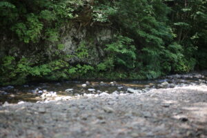 水遊びの楽しみ方 我が家の場合。私が知らなかった水遊びの世界