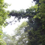 ヒロミちゃんの思い出。我ながら成功体験