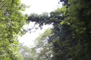 ヒロミちゃんの思い出。我ながら成功体験