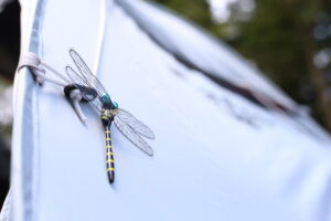 【会員限定】多くを求めないようで、実は私に多くを求めていた夫