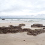 【会員限定】子供を産んで変化を強いられた私が夫に変化を強いるしかなかったんですよ。