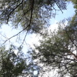 お金のこと、ちゃんと親から教わらなかった私。