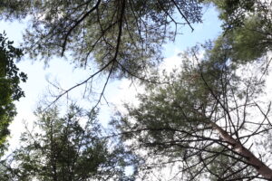 お金のこと、ちゃんと親から教わらなかった私。