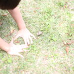 次男（５）突然スイミングやるってよ