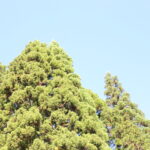 『ハイドロポンプ』できる精神状態