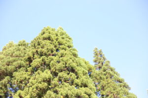 『ハイドロポンプ』できる精神状態