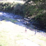 長男、次男の違う性格。でも最終的には『優しく放置』