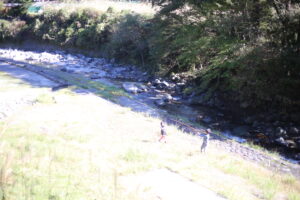 長男、次男の違う性格。でも最終的には『優しく放置』