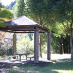 【小１の壁】を振り返る