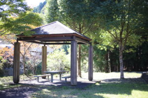 【小１の壁】を振り返る