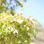 似て欲しくなかったけど似てしまった。