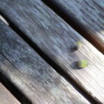 『老後』ってどう過ごしたい?既に夢が膨らむ