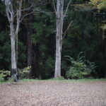 子育てはいつまで『負担』なんだろう。