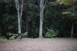 子育てはいつまで『負担』なんだろう。