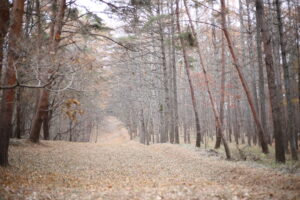 【会員限定】結婚する前の私と、してからの私の、その『差』