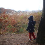 ある程度親が道を決めてあげたほうが良い子っているのかな。