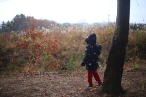 ある程度親が道を決めてあげたほうが良い子っているのかな。