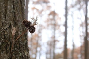 次男（８）に『勉強のしかた』を教えるの巻