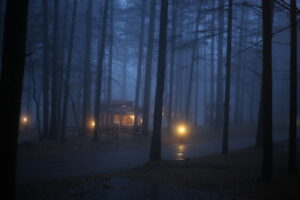 嵐の日、長男が遊びに行ってしまった。