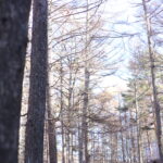 レジャー計画は年間で立てています。