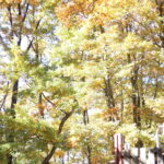 【会員限定】結婚して、男性が嫌いになったよ。