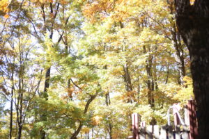 【会員限定】結婚して、男性が嫌いになったよ。