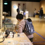 兄弟げんかのピークはどこですか？