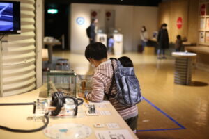 兄弟げんかのピークはどこですか?