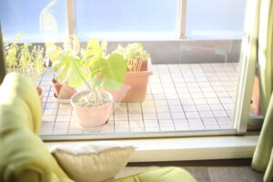 【会員限定】どん・・・っだけツケが溜まってると思ってんの？