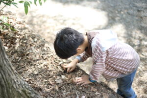 小3の『会話』と『社会』と