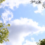 自分で行く気はないけど