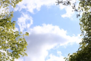 【会員限定】ChatGPTに聞いた。妻の声が聞けない夫は多分つまり、かわいそうな人なんだ。