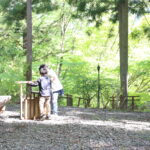 きっとほとんど忘れちゃってるし、忘れちゃうんだろうから。