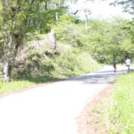 ケンカのコツとか誠意とか