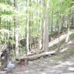 持って生まれてると思う？【感度】