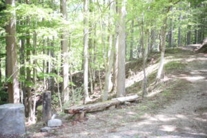 持って生まれてると思う？【感度】