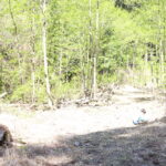 【会員限定】【彼氏】と【夫】が違い過ぎる件