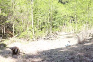 【会員限定】【彼氏】と【夫】が違い過ぎる件