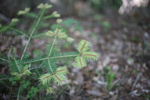 イライラしない、疲れないが最大のテーマ