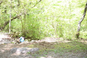 上の子は損？下の子は得？