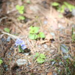 【会員限定】傷つくのが怖いんだ。