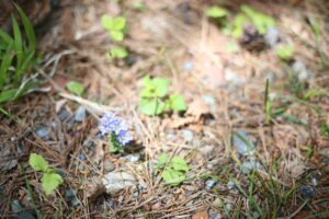 【会員限定】傷つくのが怖いんだ。