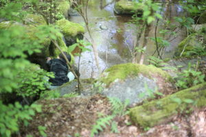 そういえばおさまった次男の『チック』と、また新たな『症状』